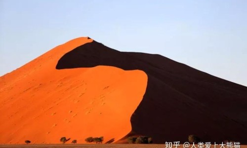 清热宣肺颗粒苏中网 :分享清热宣肺的药物-可以清热宣肺止咳的药物有哪些知识